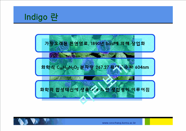 indigo 염료 합성   (9 )